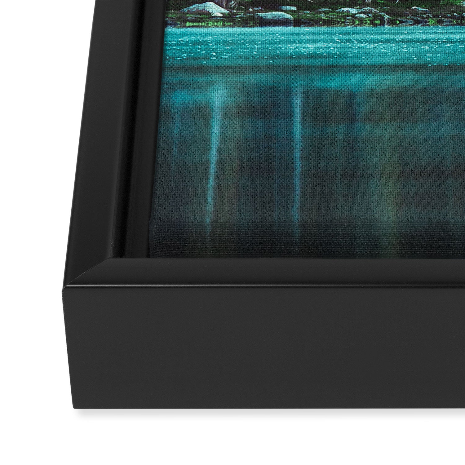 Forest 3 Framed Canvas Print Gallery Image 3