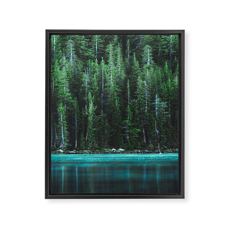 Forest 3 Framed Canvas Print Gallery Image 6