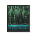 Forest 3 Framed Canvas Print Gallery Image 6
