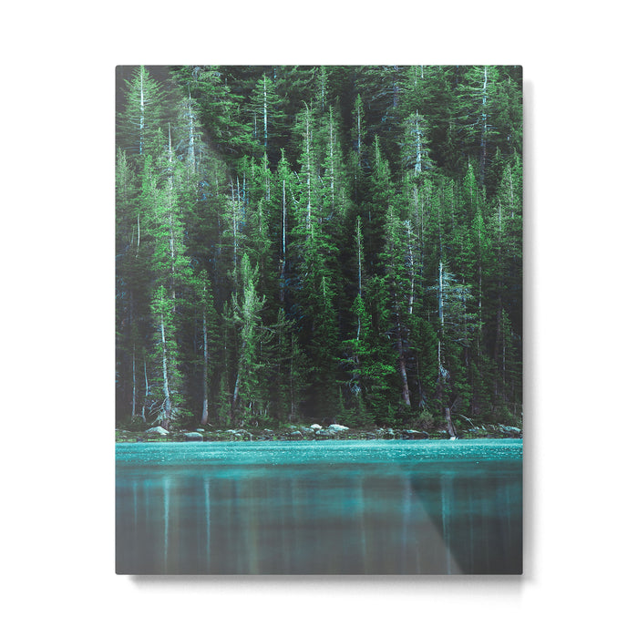 Forest 3 Metal Print Gallery Image 1