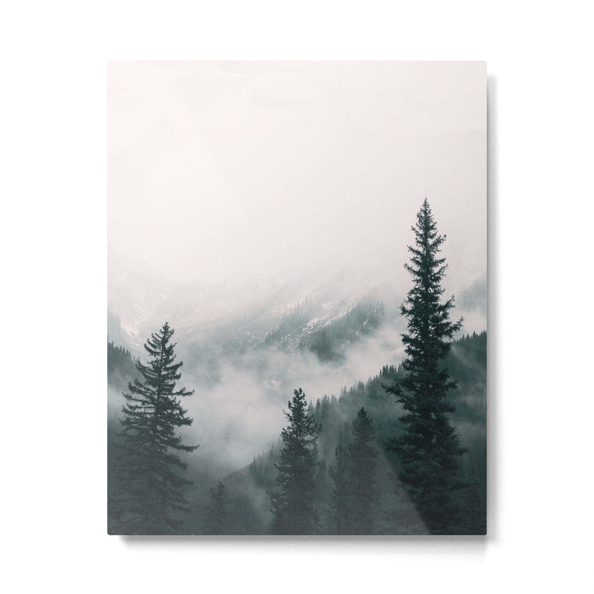 Forest mist beneath the mountain peaks Metal Print Gallery Image 4