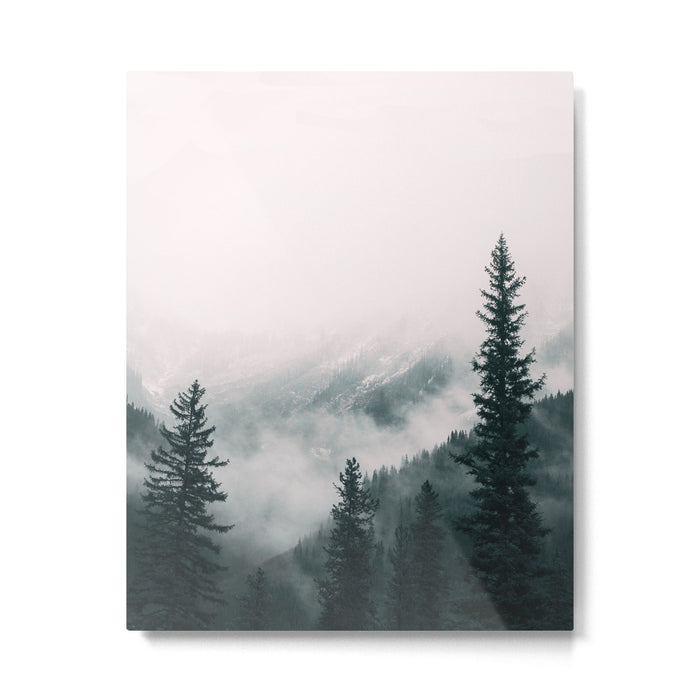 Forest mist beneath the mountain peaks Metal Print Gallery Image 1