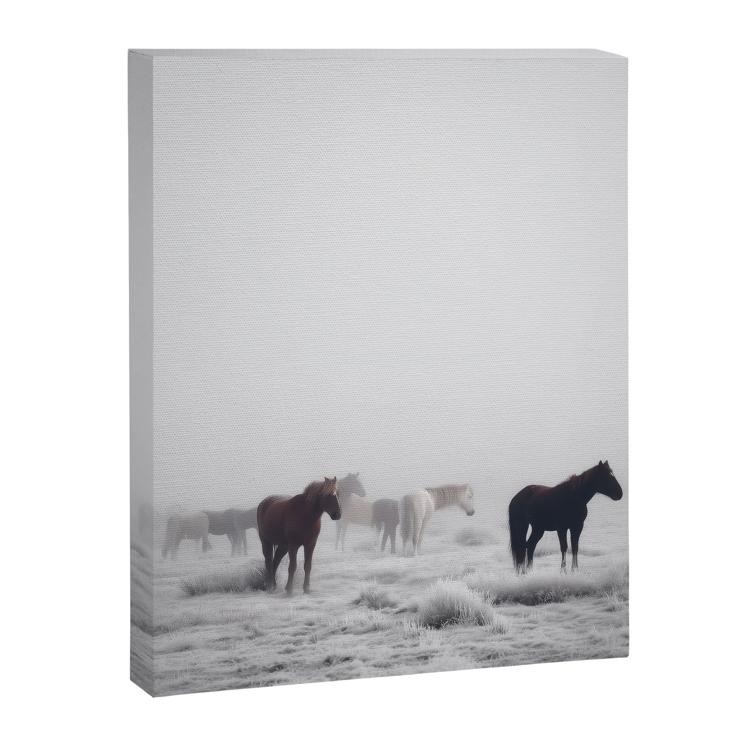 Horses in the Mist II Canvas Print Gallery Image 6