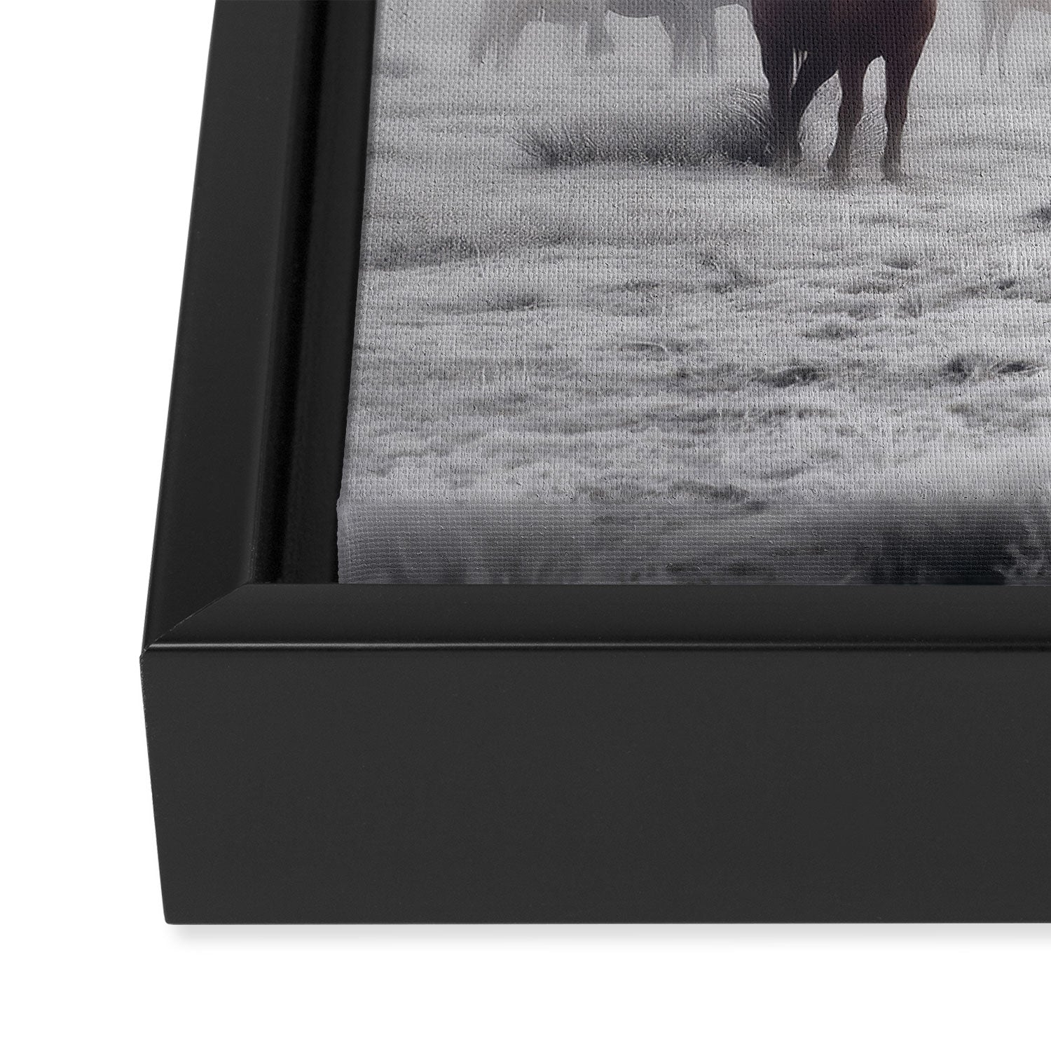 Horses in the Mist II Framed Canvas Print Gallery Image 3