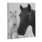 Horses in the Snow - Black and White Winter Photography Print Canvas Print Gallery Image 6