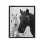 Horses in the Snow - Black and White Winter Photography Print Framed Canvas Print Gallery Image 6