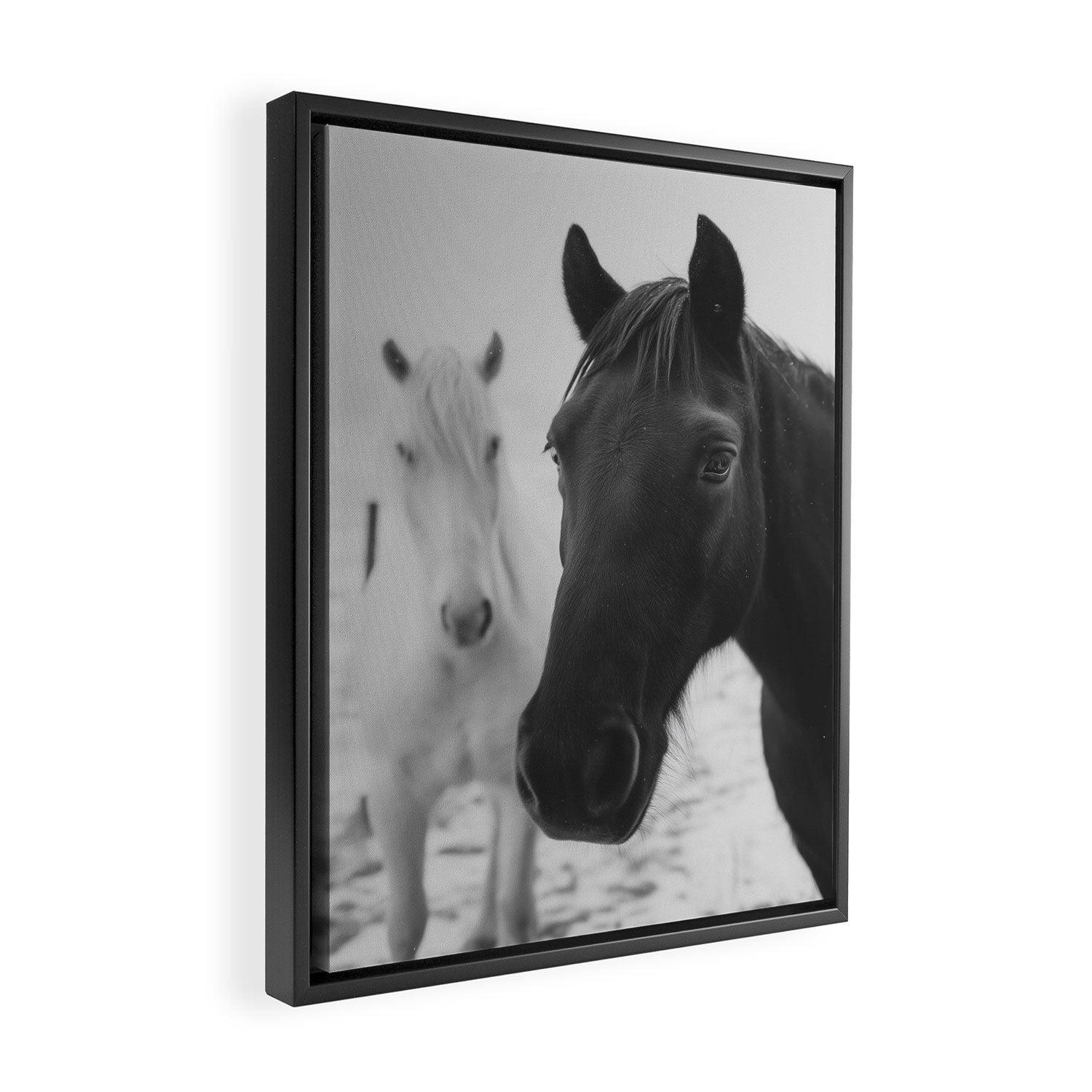 Horses in the Snow - Black and White Winter Photography Print Framed Canvas Print Gallery Image 2