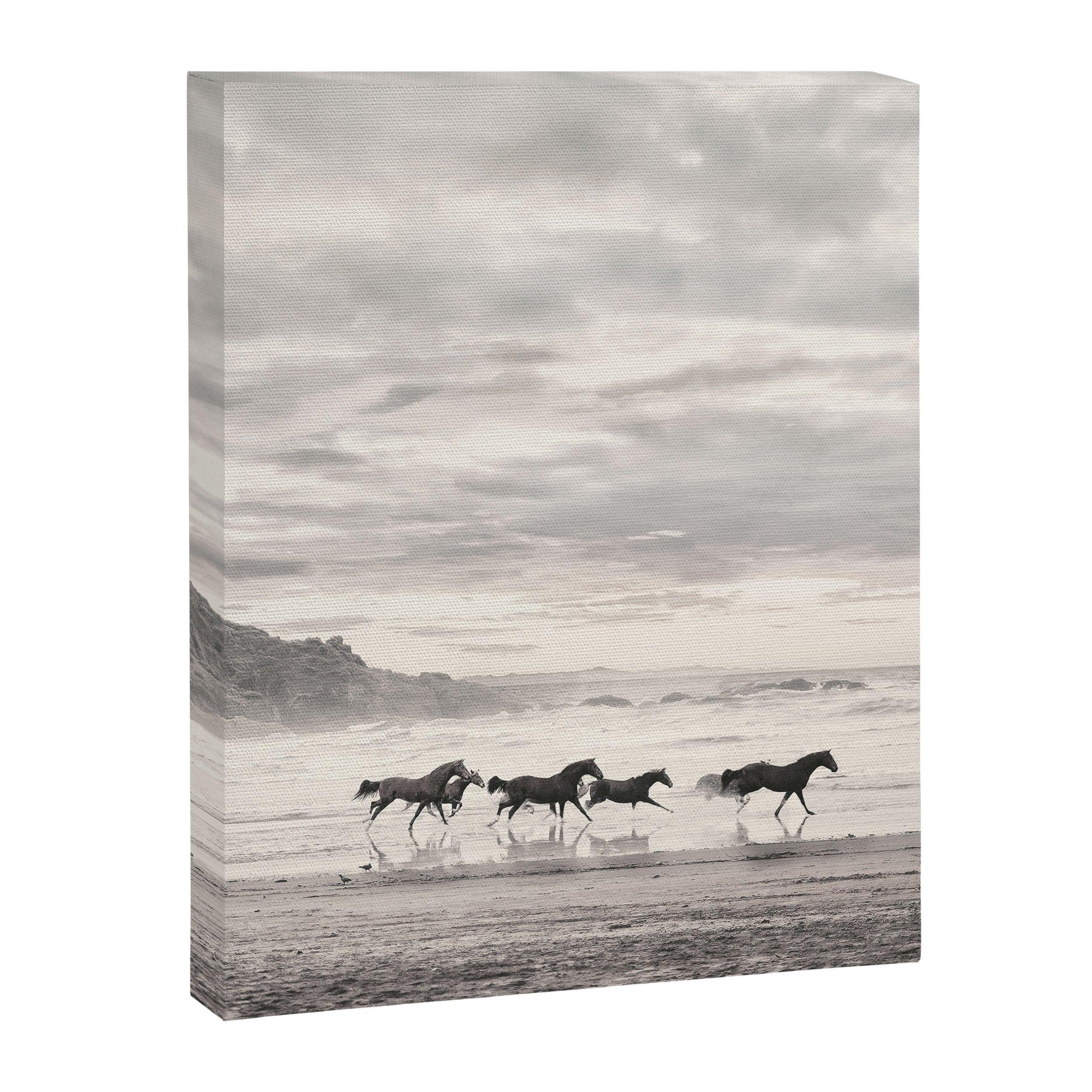 Horses on the Beach Canvas Print Gallery Image 6