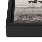 Horses on the Beach Framed Canvas Print Gallery Image 3