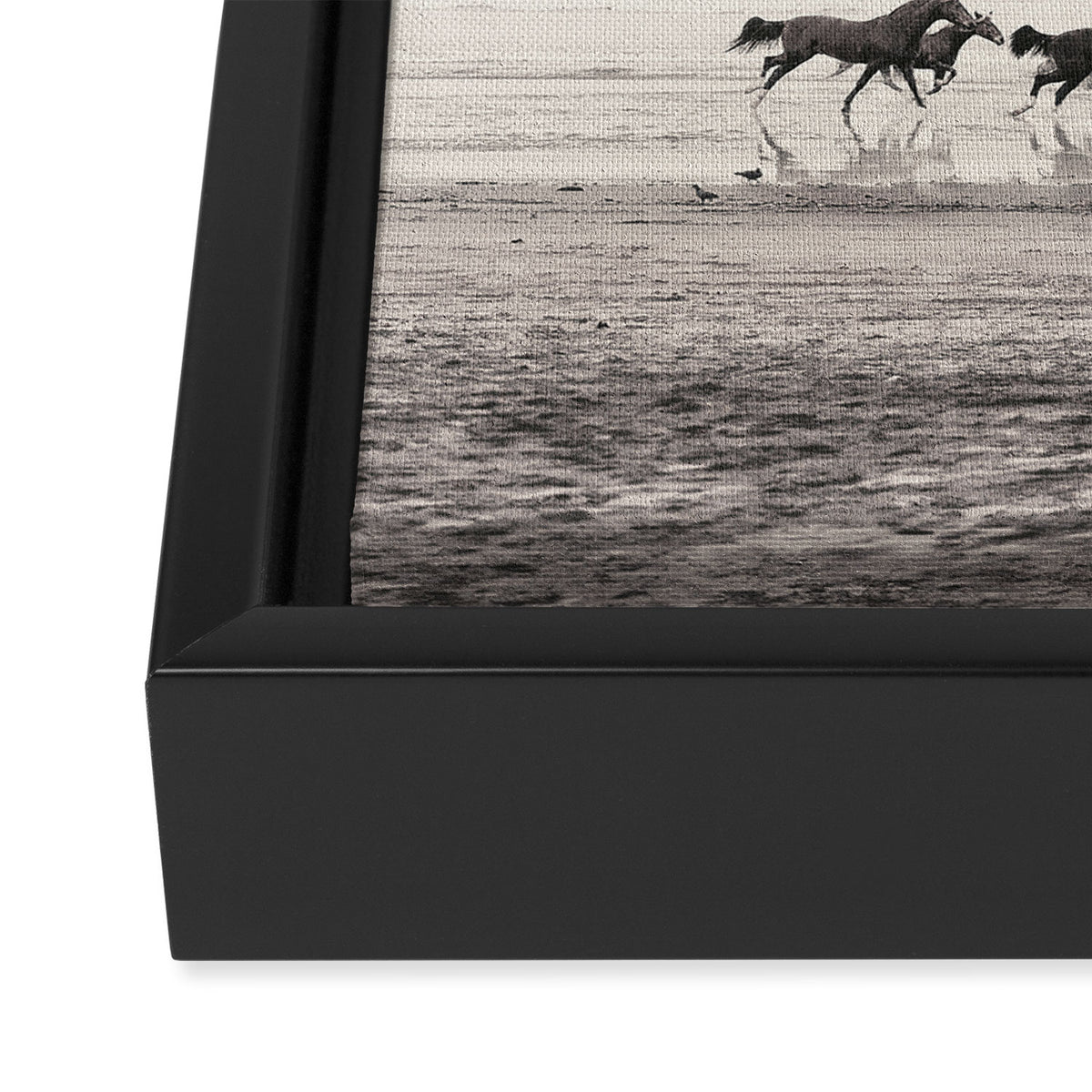 Horses on the Beach Framed Canvas Print Gallery Image 3