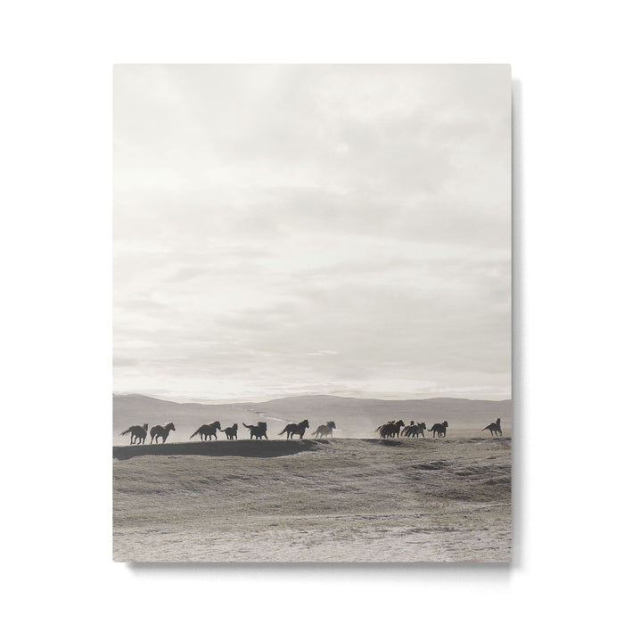Horses on the Dunes Metal Print Gallery Image 1