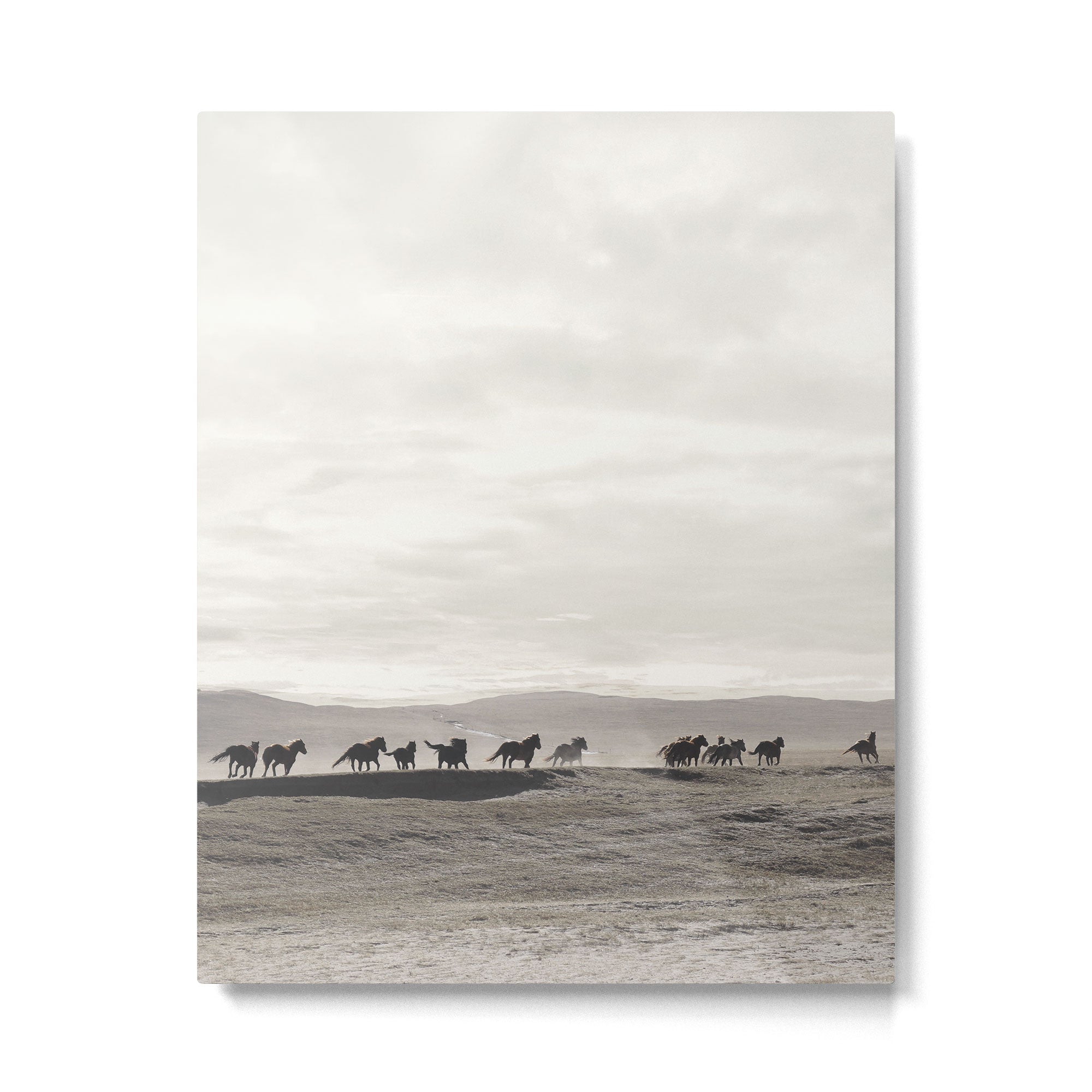 Horses on the Dunes Metal Print Gallery Image 4