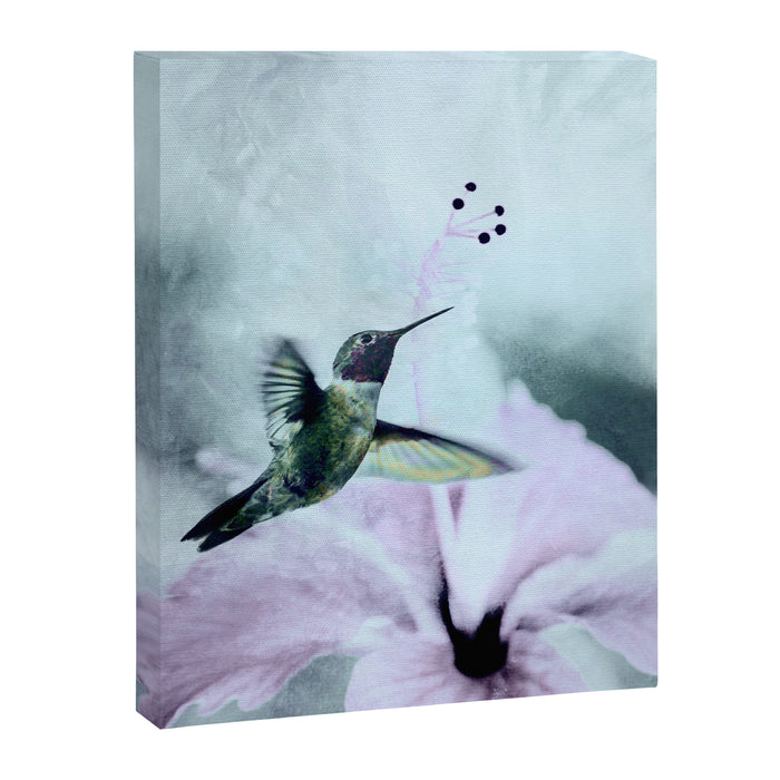 Hummingbird Canvas Print Gallery Image 1