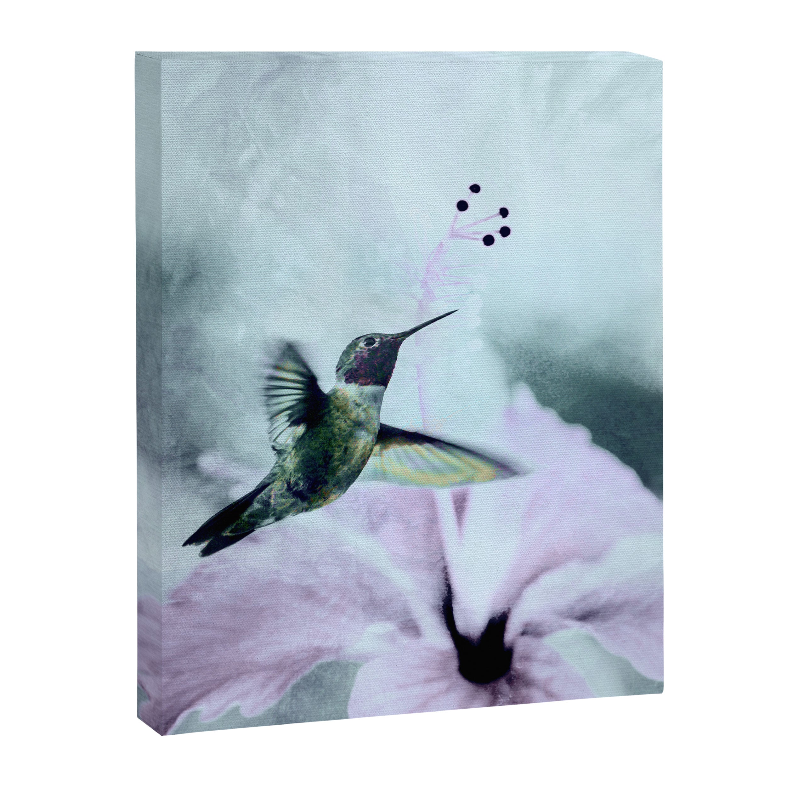 Hummingbird Canvas Print Gallery Image 6