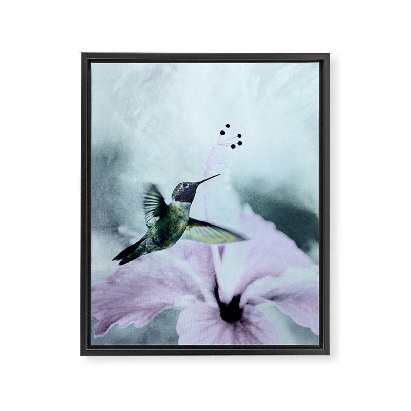 Hummingbird Framed Canvas Print Gallery Image 6