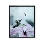 Hummingbird Framed Canvas Print Gallery Image 6