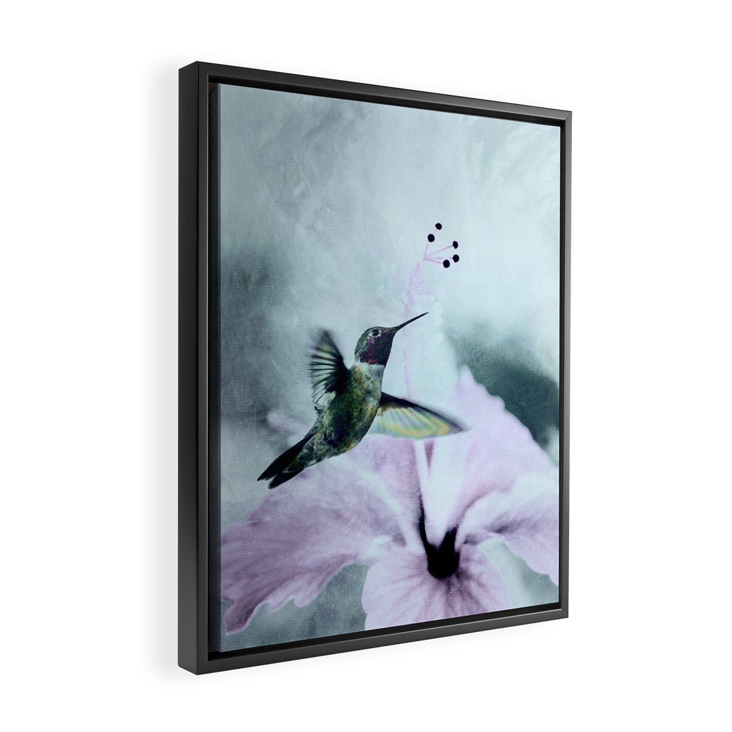 Hummingbird Framed Canvas Print Gallery Image 2