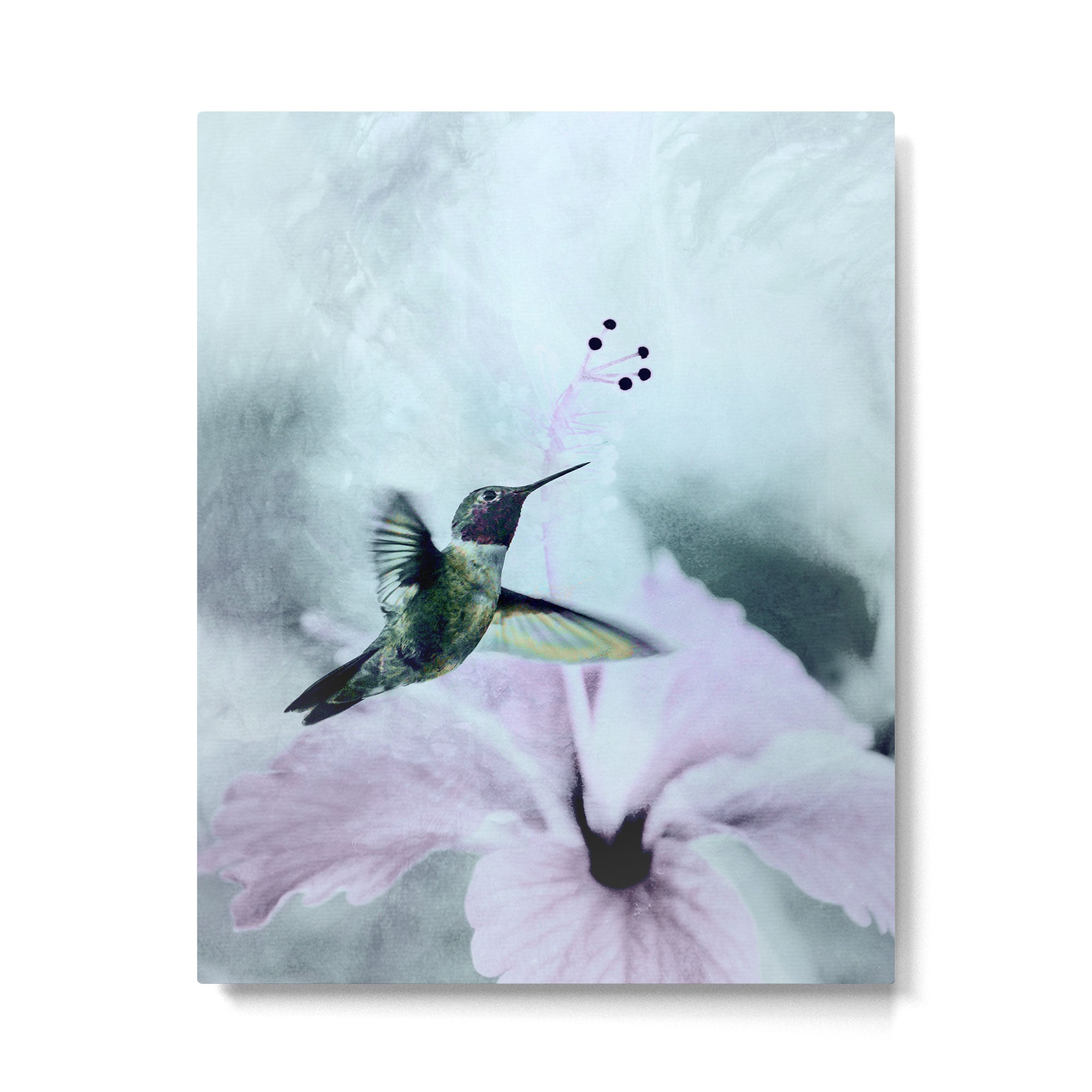 Hummingbird Metal Print Gallery Image 4