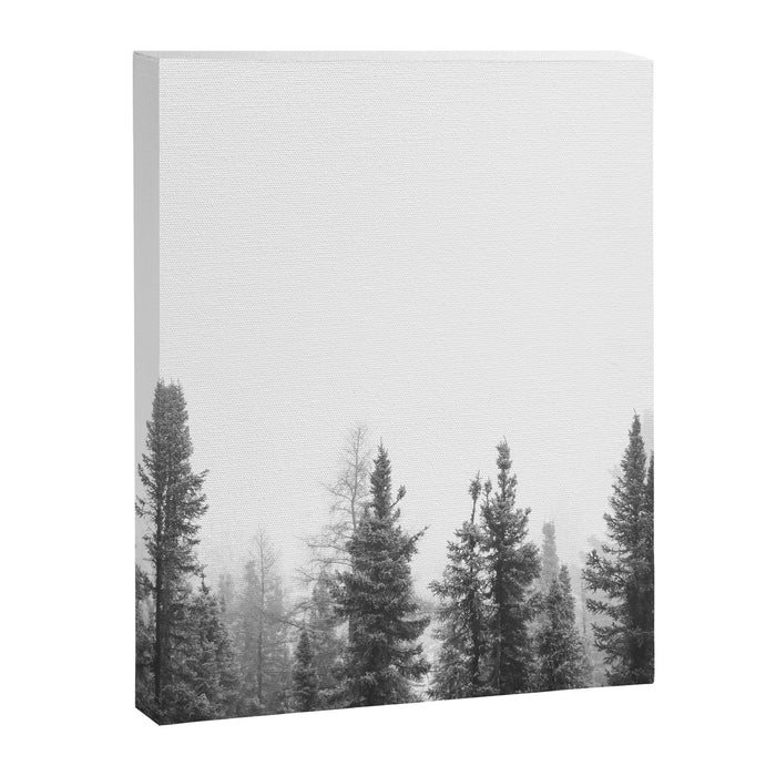 Misty Forest Canvas Print Gallery Image 1