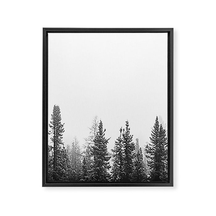 Misty Forest Framed Canvas Print Gallery Image 1