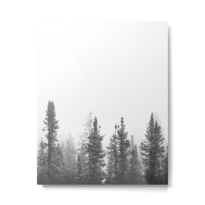 Misty Forest Metal Print Gallery Image 1