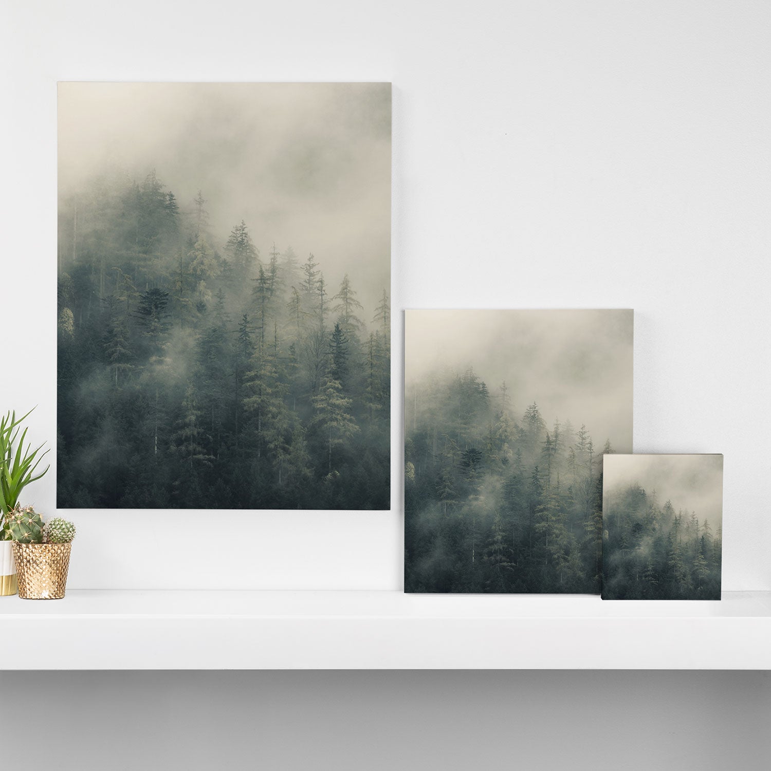 Misty Pine Forest 2 Canvas Print Gallery Image 3