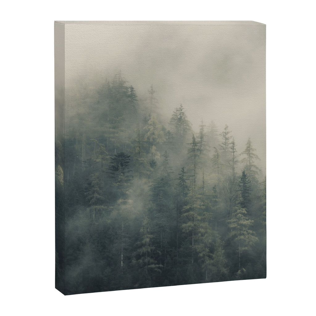 Misty Pine Forest 2 Canvas Print Gallery Image 6