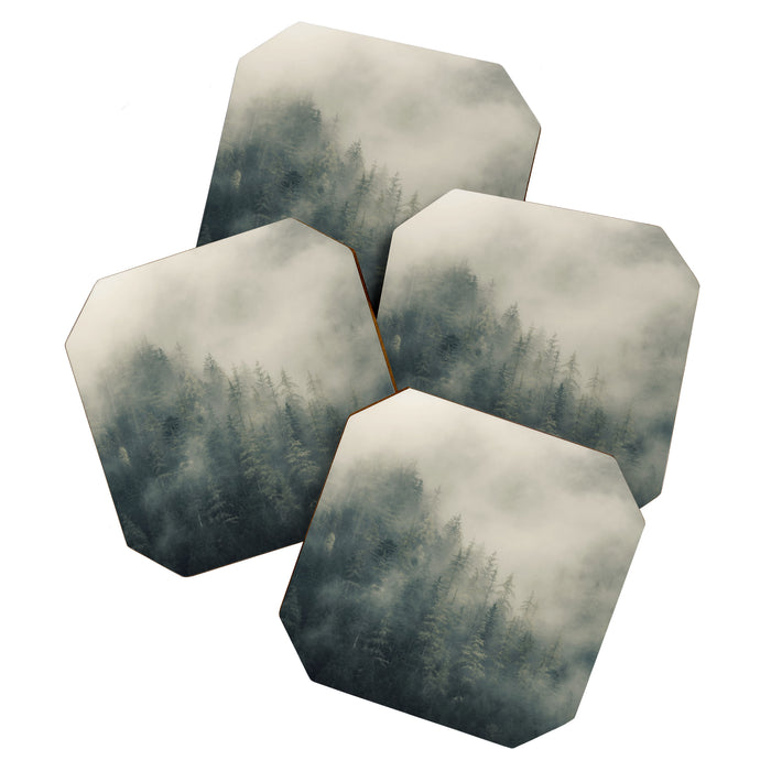 Misty Pine Forest 2 Coaster Gallery Image 1