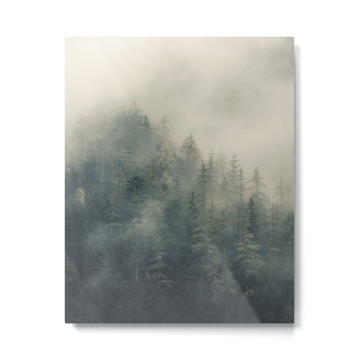 Misty Pine Forest 2 Metal Print Gallery Image 1