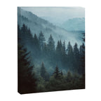 Misty Pine Forest Canvas Print Gallery Image 6
