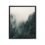 Misty Pines 2 Framed Canvas Print Gallery Image 6