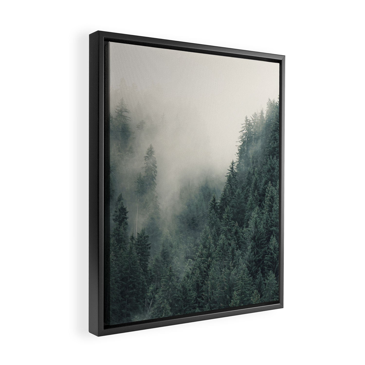 Misty Pines 2 Framed Canvas Print Gallery Image 2