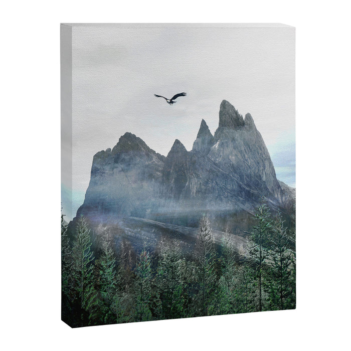 Mountains 13 Canvas Print Gallery Image 1