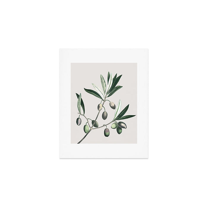 Olive Tree Branch Art Print Gallery Image 1