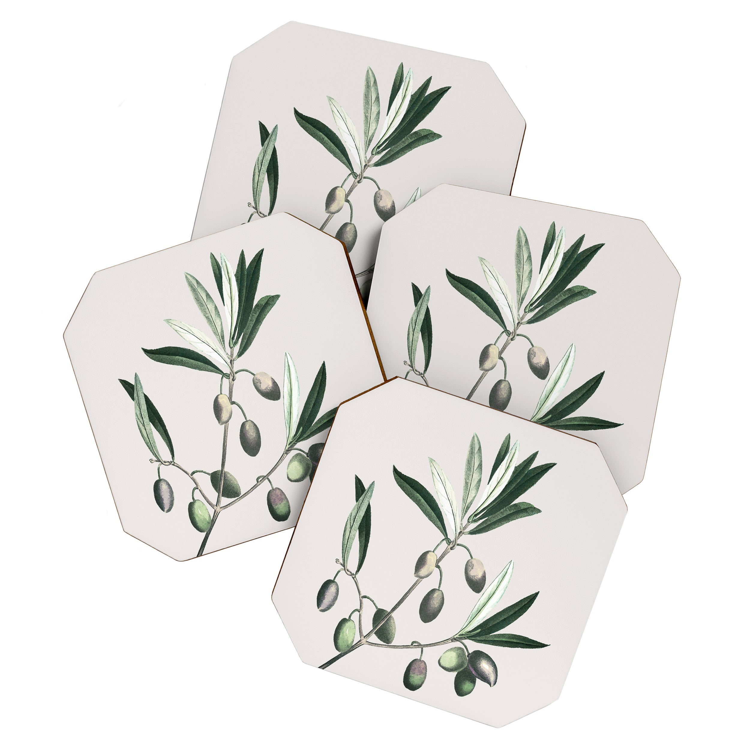 Olive Tree Branch Coaster Gallery Image 1
