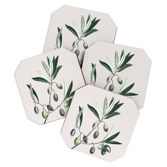 Olive Tree Branch Coaster Gallery Image 1