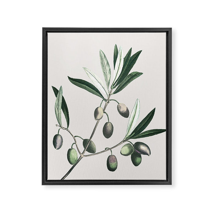 Olive Tree Branch Framed Canvas Print Gallery Image 1