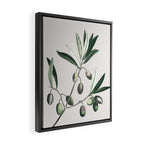 Olive Tree Branch Framed Canvas Print Gallery Image 2