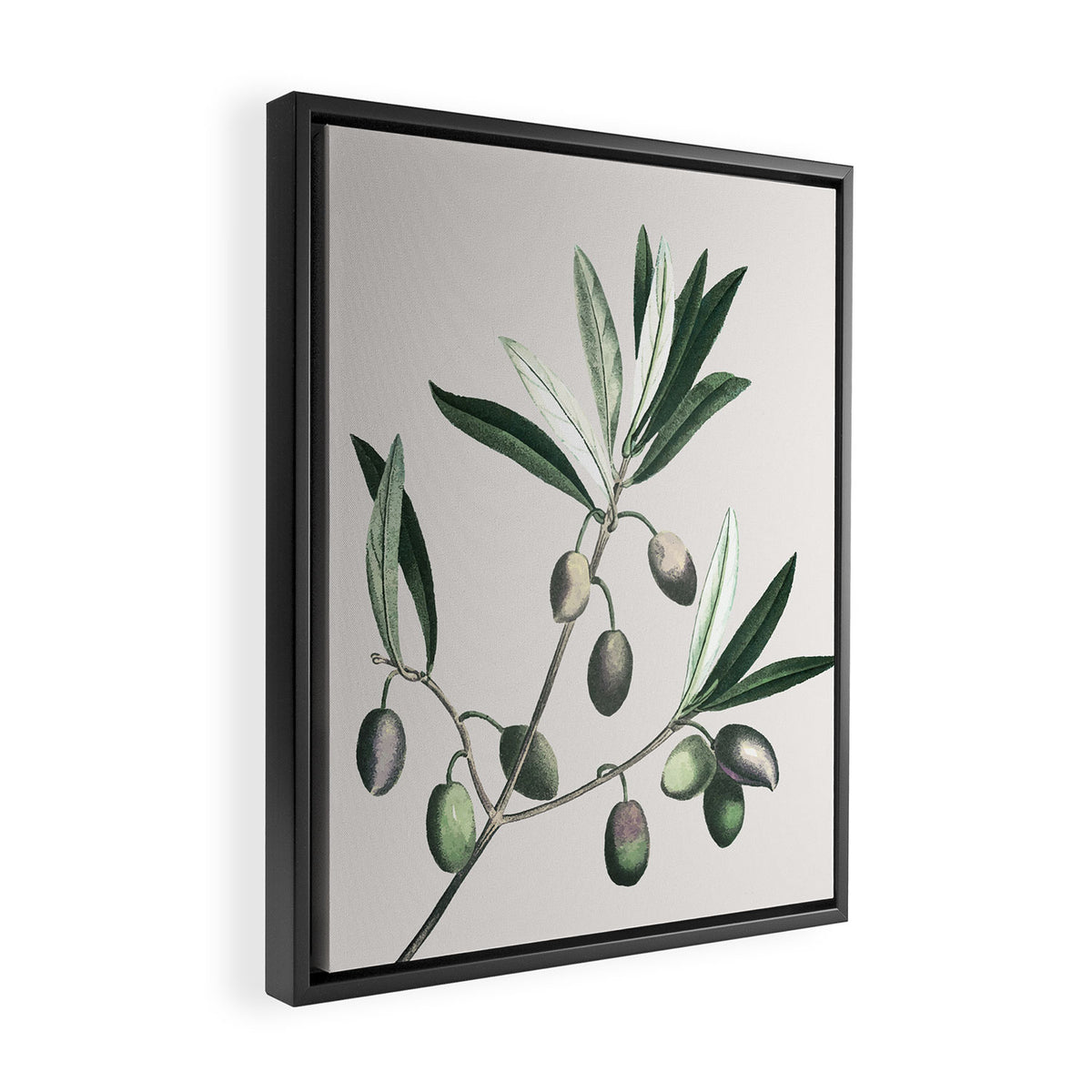 Olive Tree Branch Framed Canvas Print Gallery Image 2
