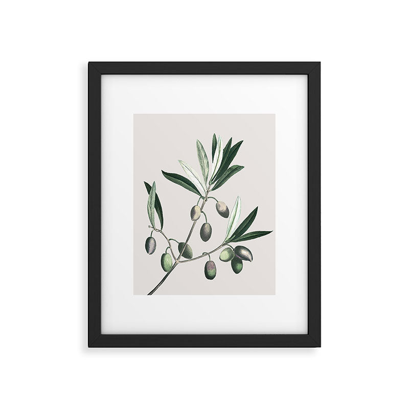 Olive Tree Branch Framed Art Print Gallery Image 5