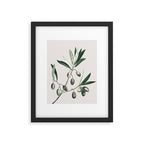 Olive Tree Branch Framed Art Print Gallery Image 5