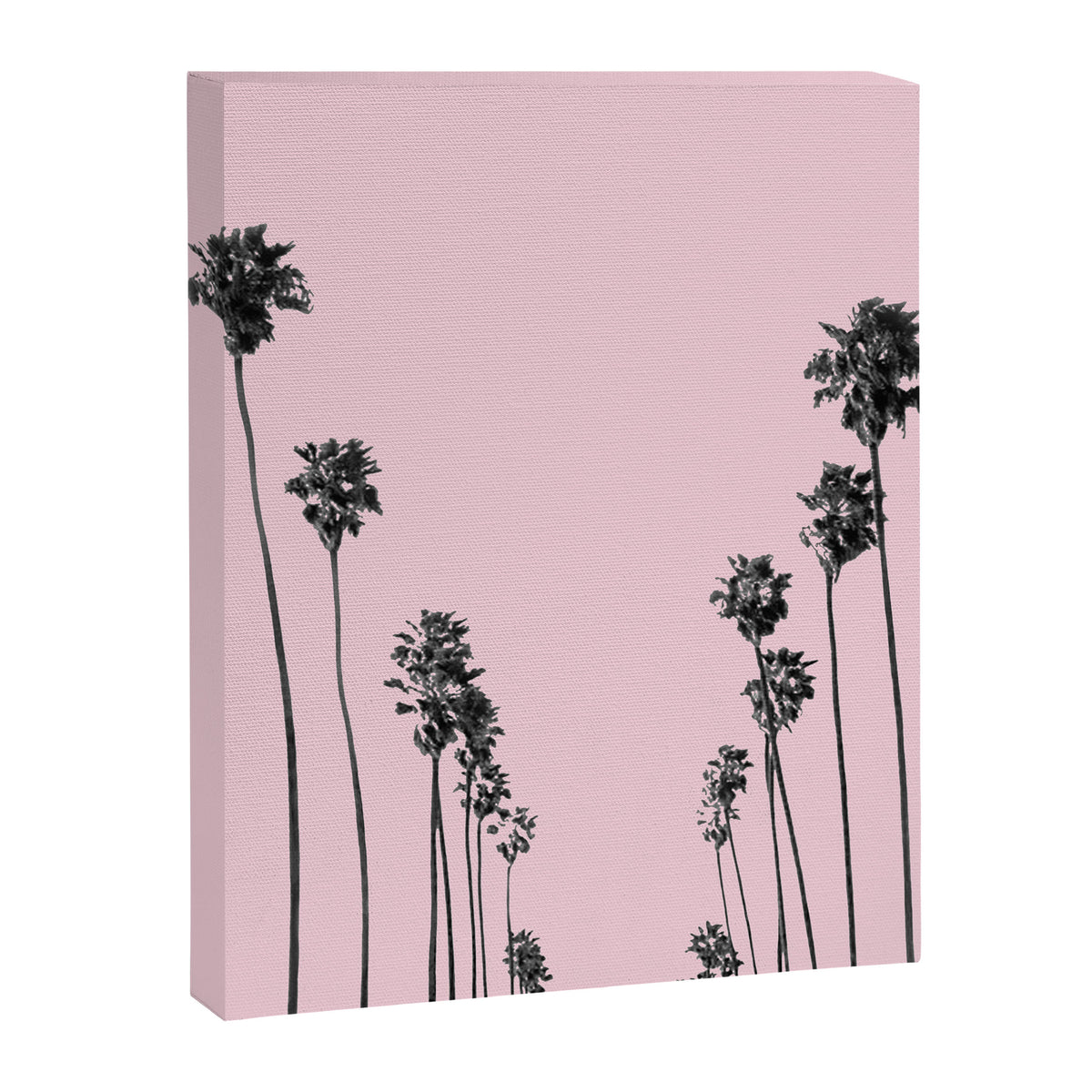 Palm trees 13 Canvas Print Gallery Image 6