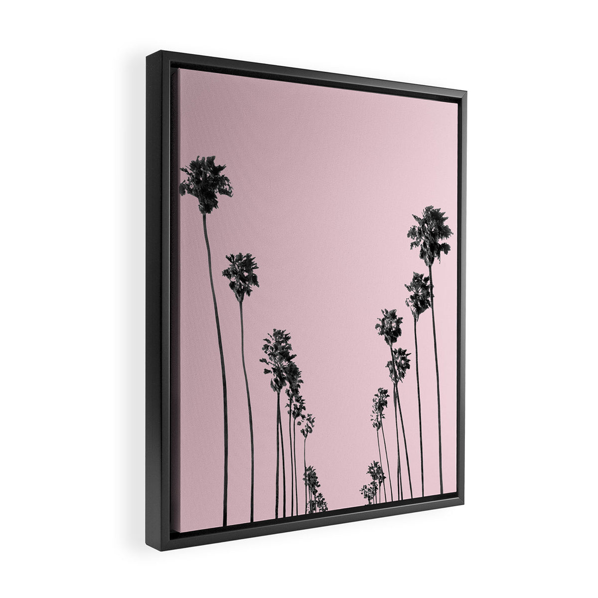 Palm trees 13 Framed Canvas Print Gallery Image 2