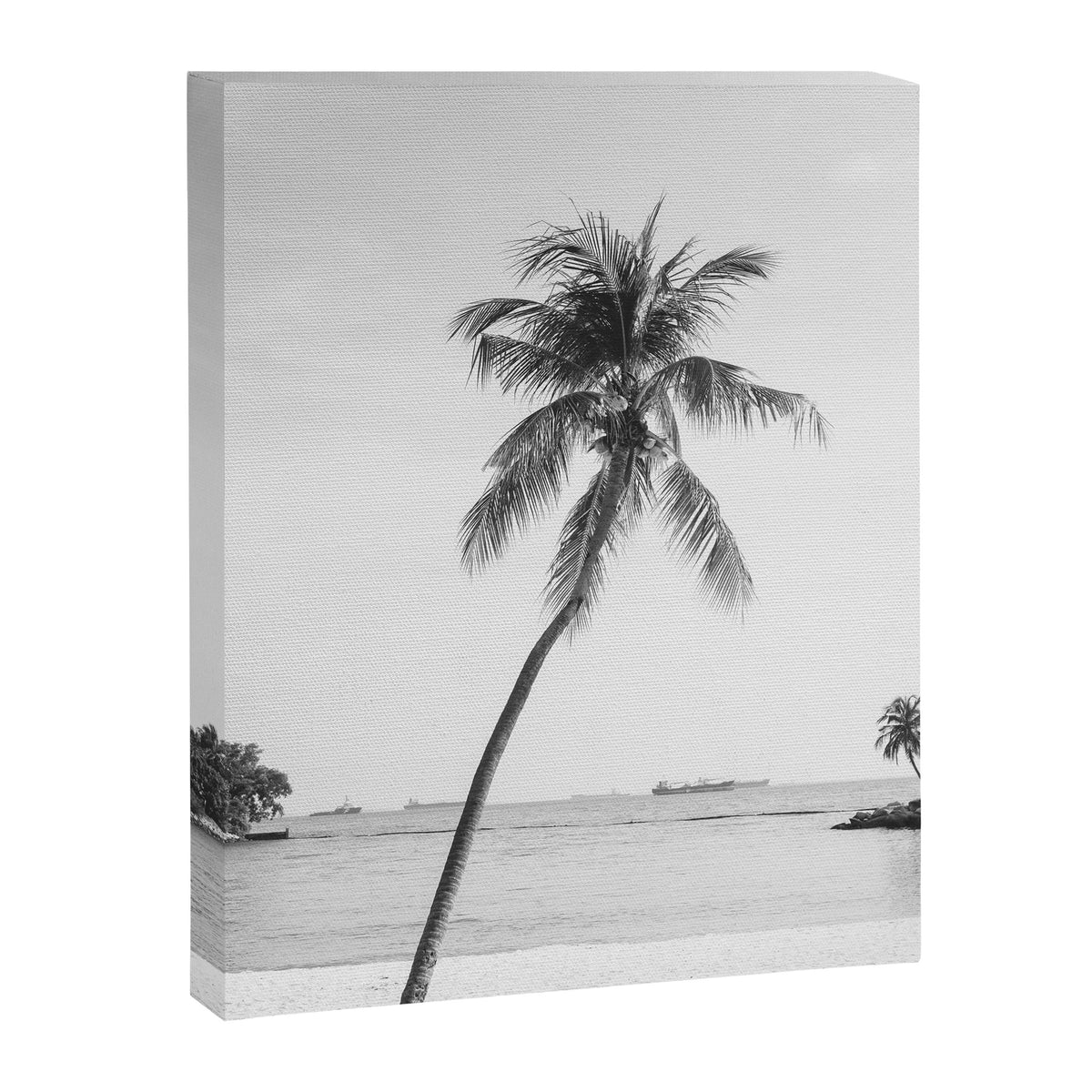 Palm Trees 16 Canvas Print Gallery Image 6