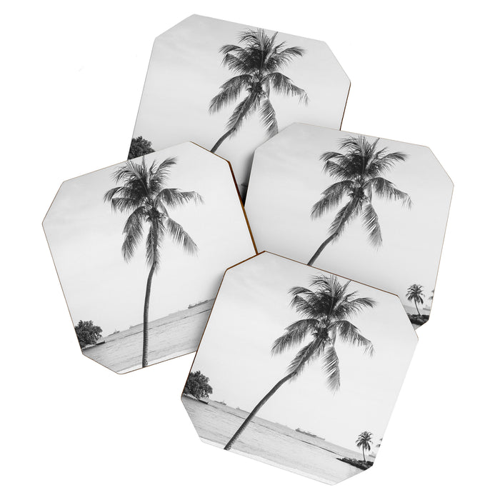 Palm Trees 16 Coaster Gallery Image 1