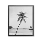 Palm Trees 16 Framed Canvas Print Gallery Image 6