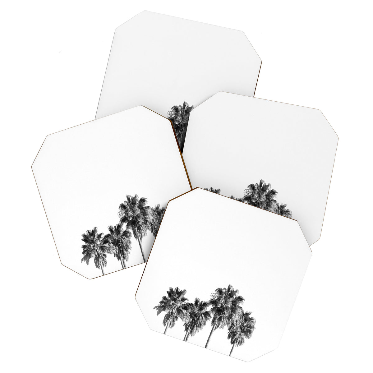 Palm trees 3 Coaster Gallery Image 1