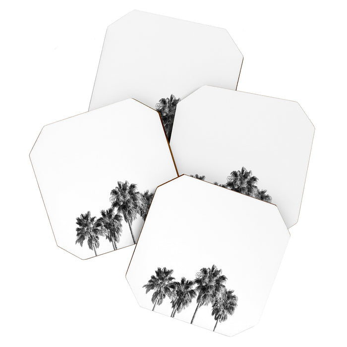 Palm trees 3 Coaster Gallery Image 1
