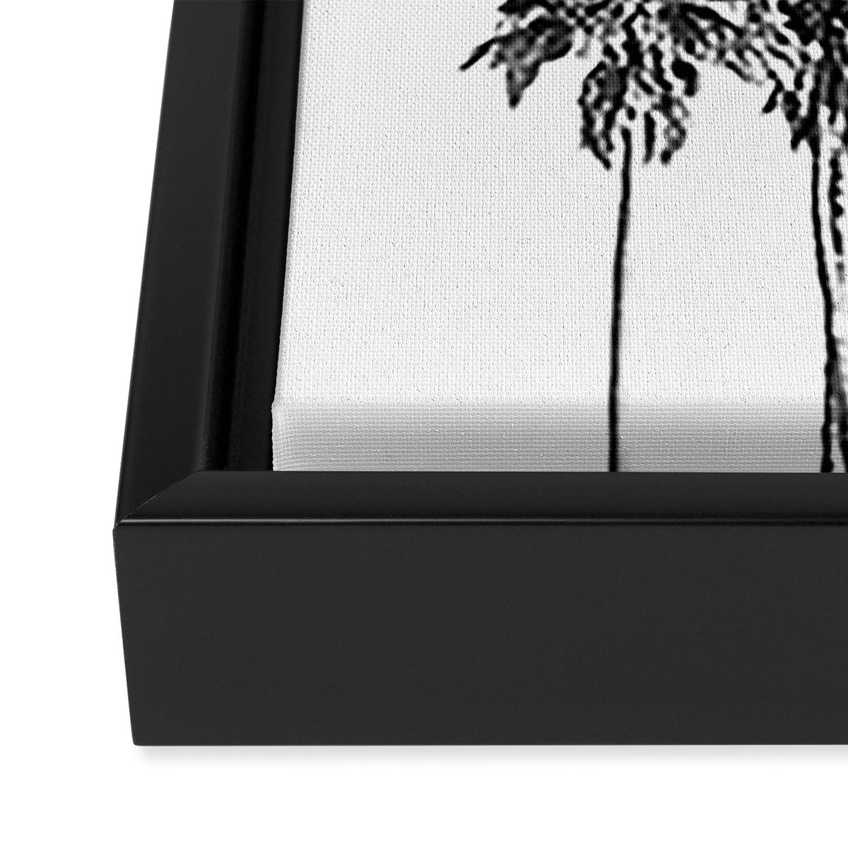 Palm trees 3 Framed Canvas Print Gallery Image 3