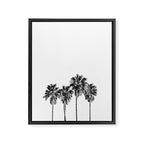 Palm trees 3 Framed Canvas Print Gallery Image 6